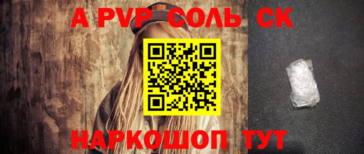Alfa_PVP СК Великий Новгород